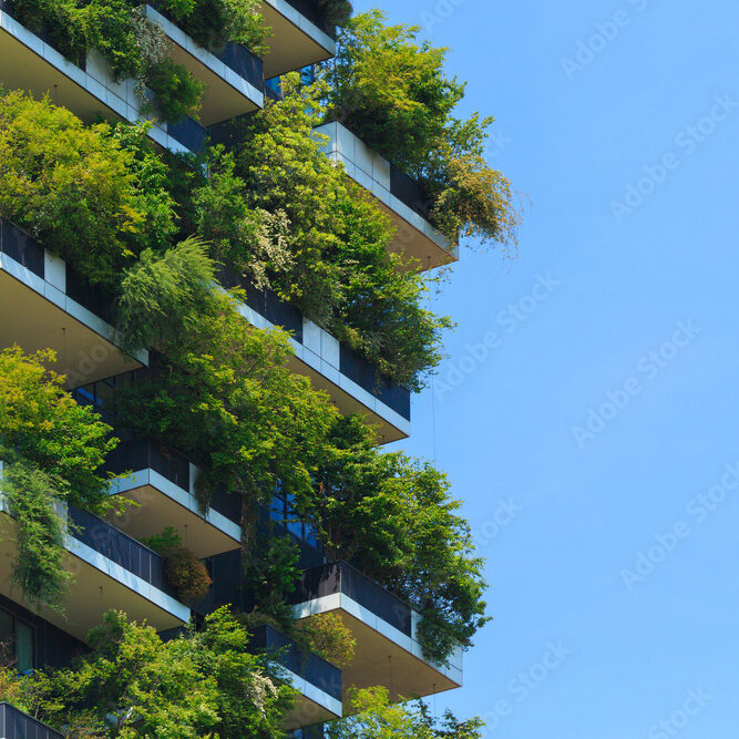 AdobeStock_1685050940_Preview