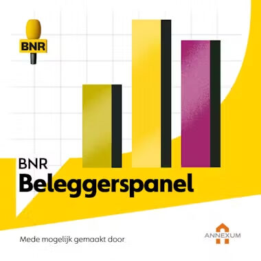 BNR Beleggerspanel over de Brusselse leidraad tegen greenwashing