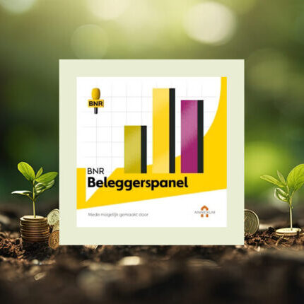 BNR Beleggerspanel – AI-bubbel begint tekenen van barsten te vertonen