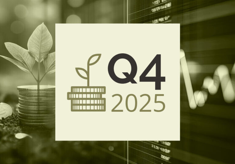 Q4 2025: Powerful performance in a turbulent stock market year