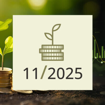 November 2025: Kortstondige paniek en vlot herstel